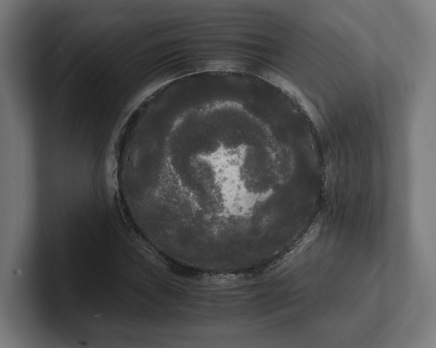 X0000102301019200808011358