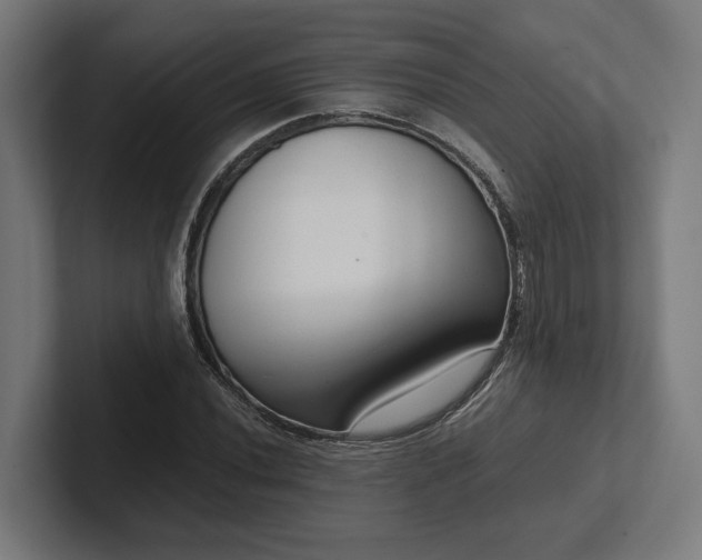 X0000102301020200808011358