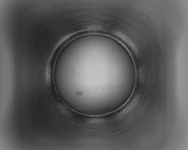 X0000102301021200808011358