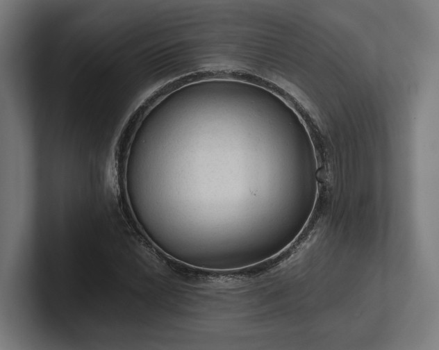 X0000102301022200808011358