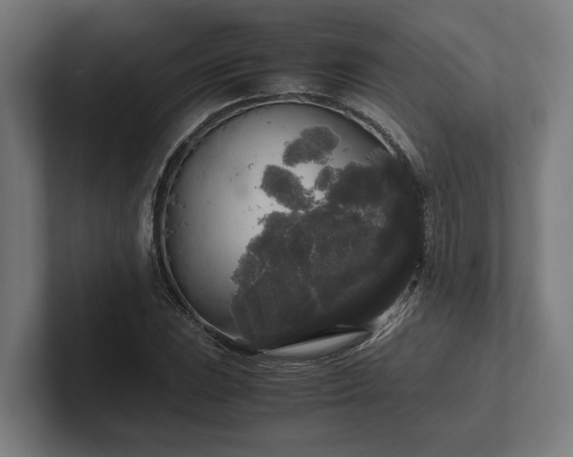 X0000102301023200808011358