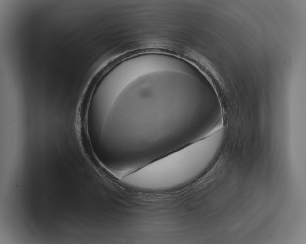 X0000102301024200808011358