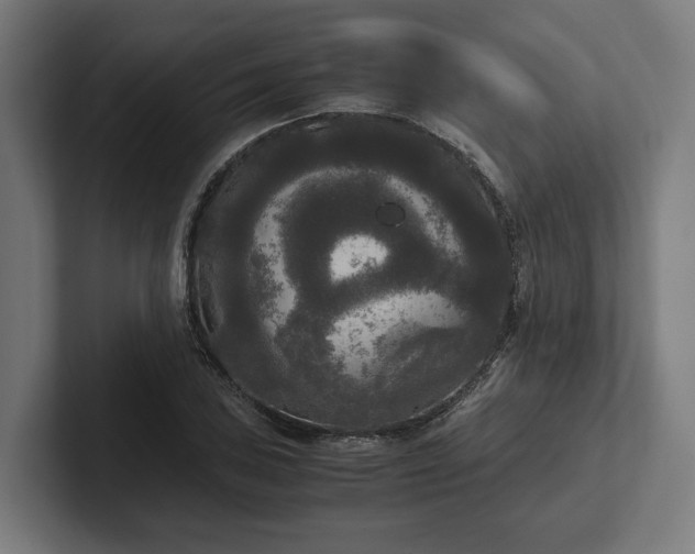 X0000102301027200808011358