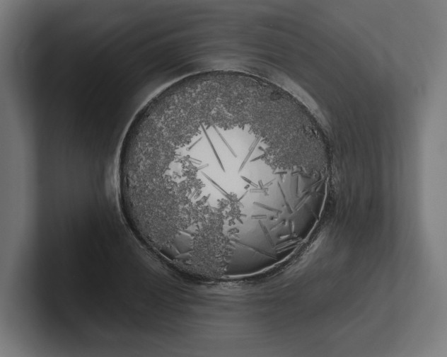 X0000102301028200808011358