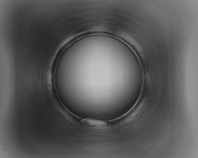 X0000102301029200808011358