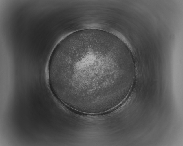 X0000102301032200808011358