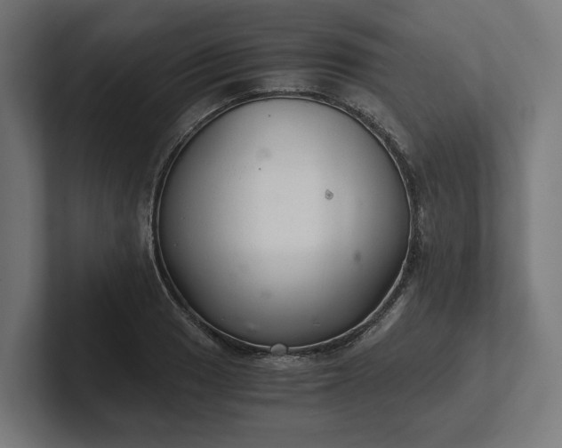 X0000102301033200808011358