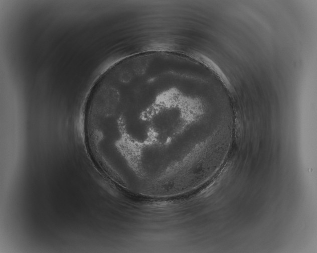 X0000102301035200808011358