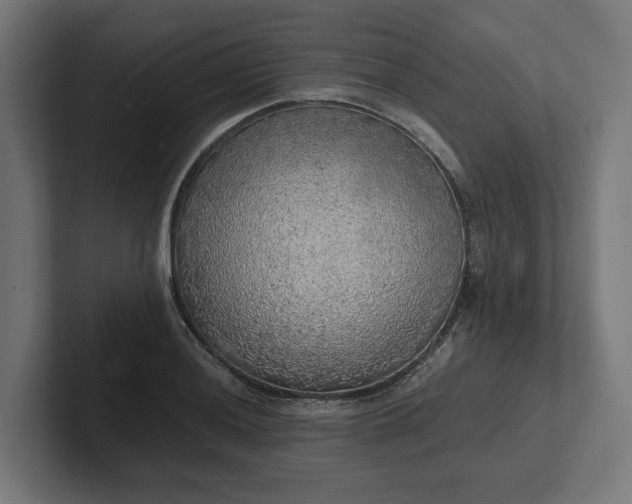 X0000102301036200808011358