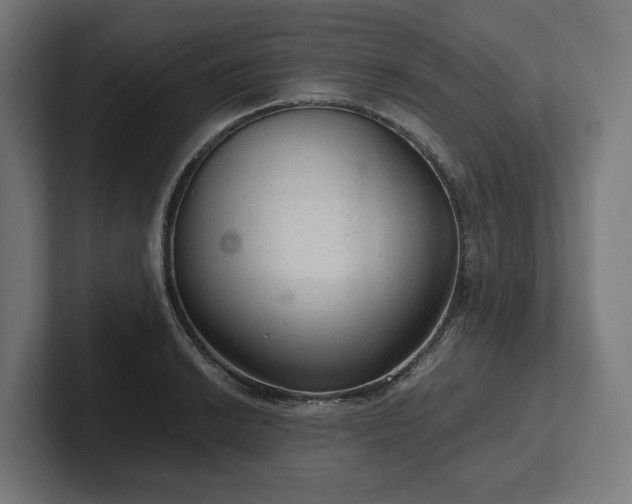 X0000102301038200808011358