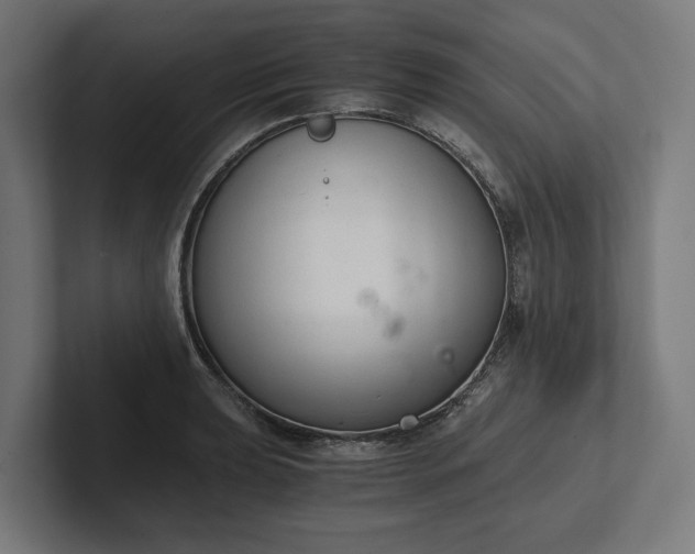 X0000102301039200808011358