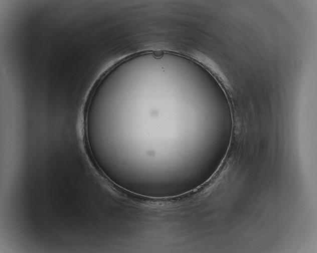 X0000102301040200808011358