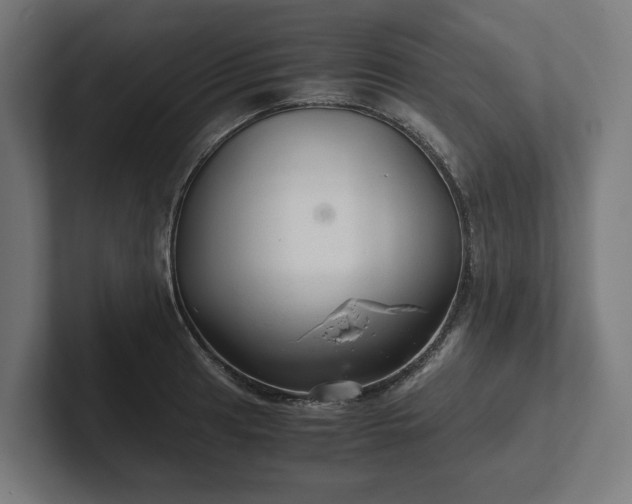 X0000102301041200808011358