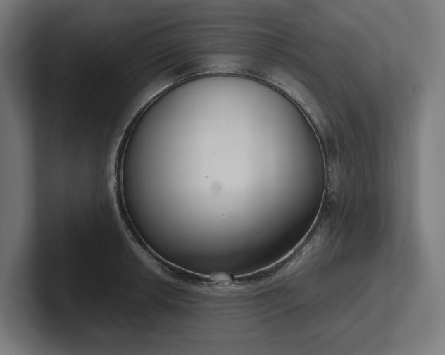 X0000102301042200808011358