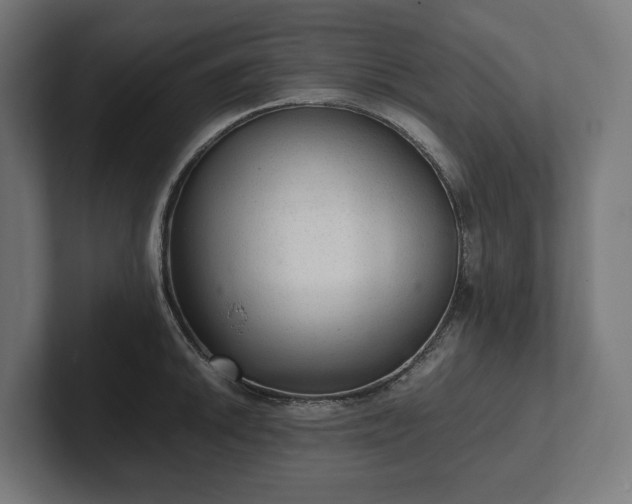 X0000102301046200808011358