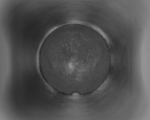 X0000102301048200808011358