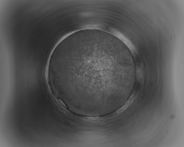 X0000102301052200808011358