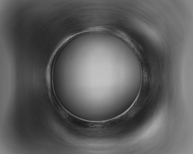 X0000102301054200808011358