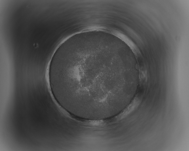 X0000102301055200808011358