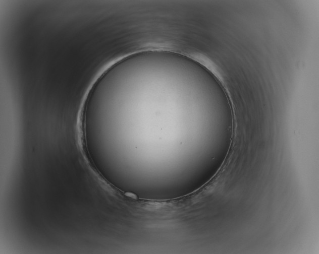 X0000102301056200808011358