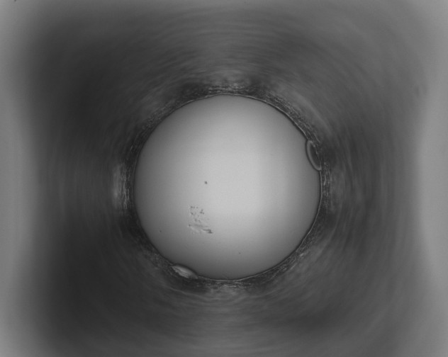 X0000102301058200808011358