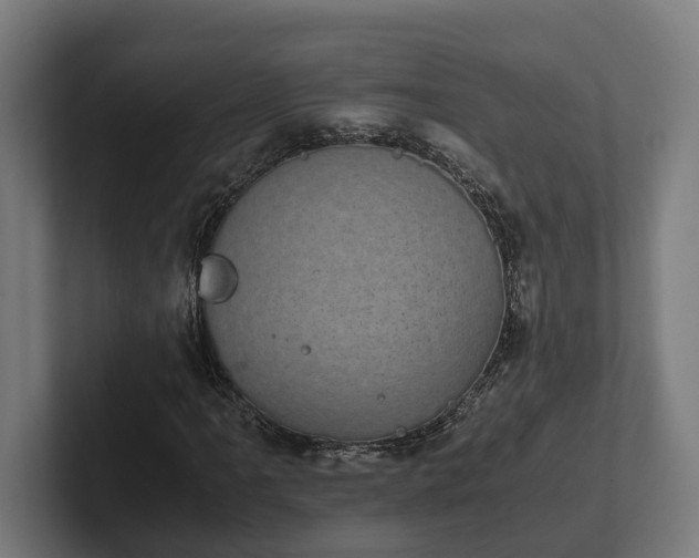 X0000102301061200808011358