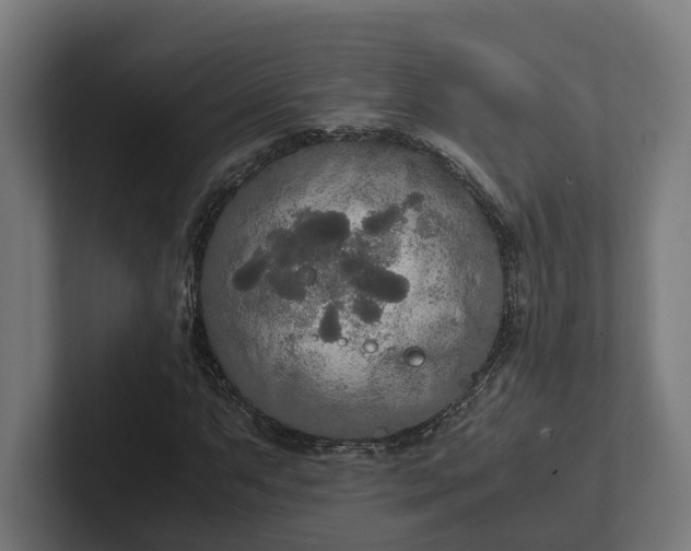 X0000102301063200808011358