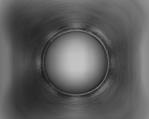 X0000102301065200808011358