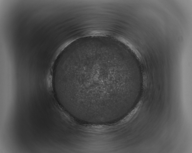 X0000102301066200808011358