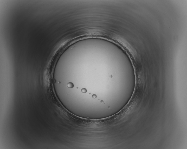 X0000102301067200808011357