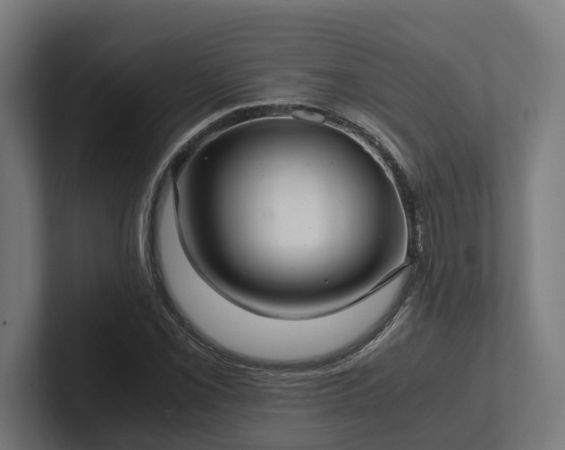 X0000102301069200808011357