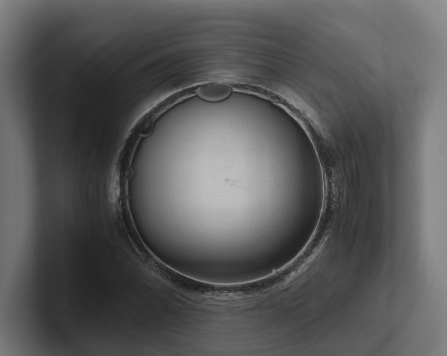 X0000102301070200808011357