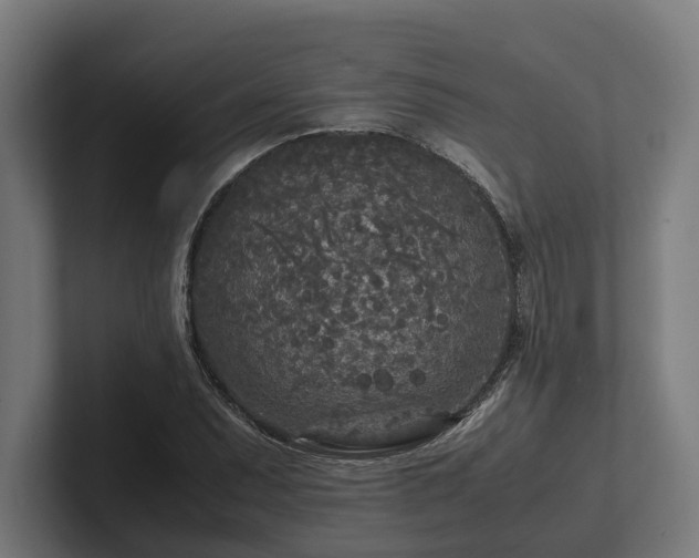 X0000102301071200808011357