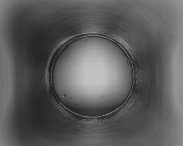 X0000102301072200808011357