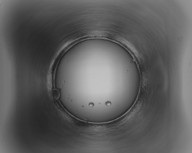 X0000102301075200808011357