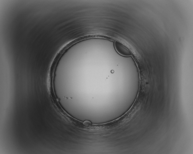 X0000102301076200808011357