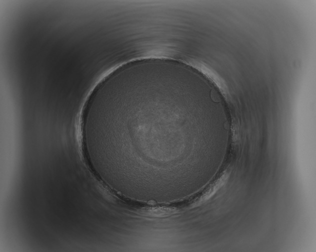 X0000102301077200808011357