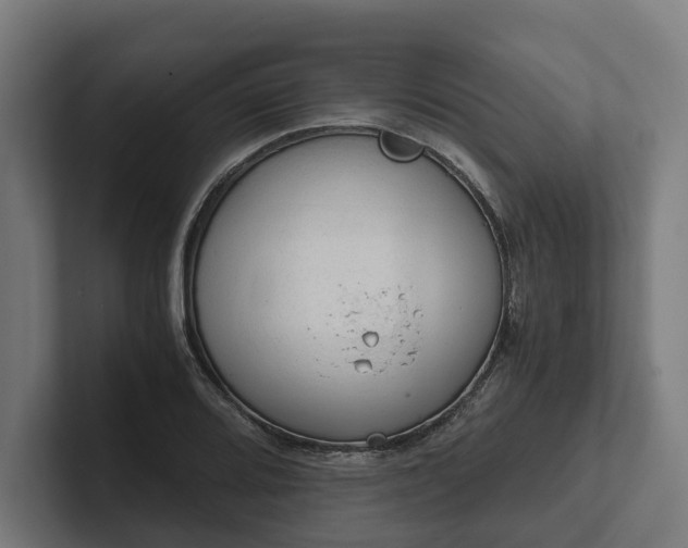 X0000102301080200808011357