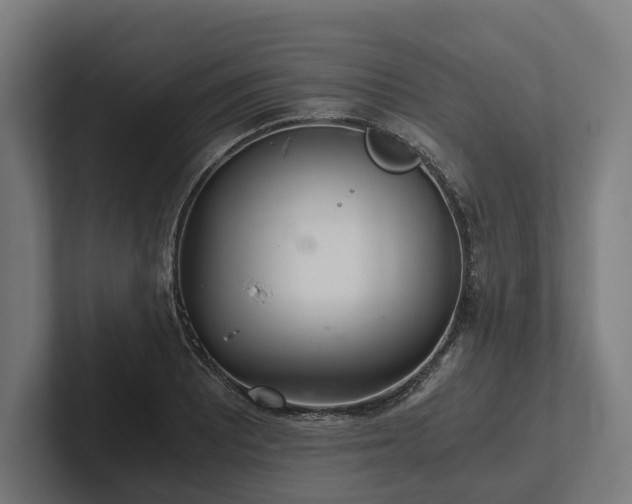 X0000102301081200808011357