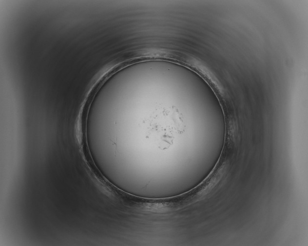 X0000102301082200808011357