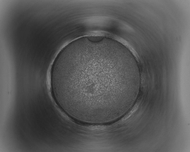 X0000102301083200808011357