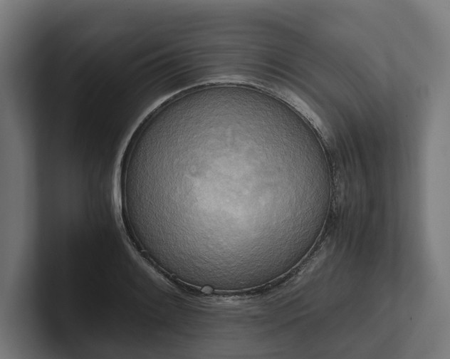 X0000102301084200808011357