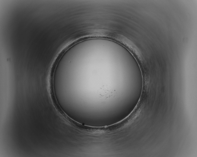 X0000102301085200808011357