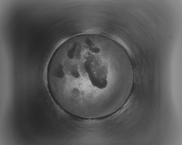 X0000102301087200808011357