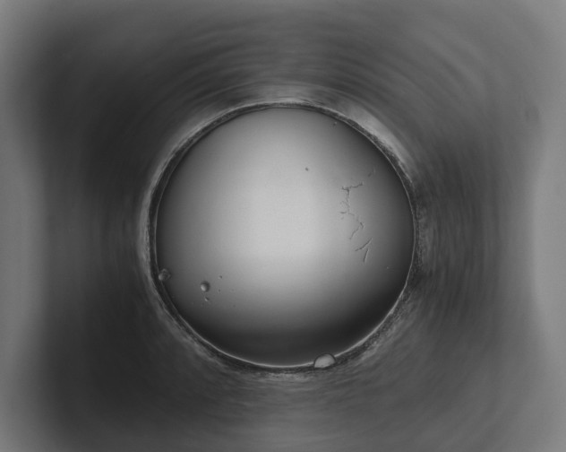 X0000102301088200808011357