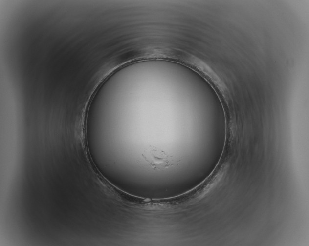 X0000102301089200808011357