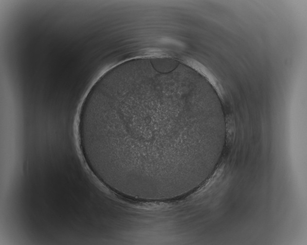 X0000102301091200808011357