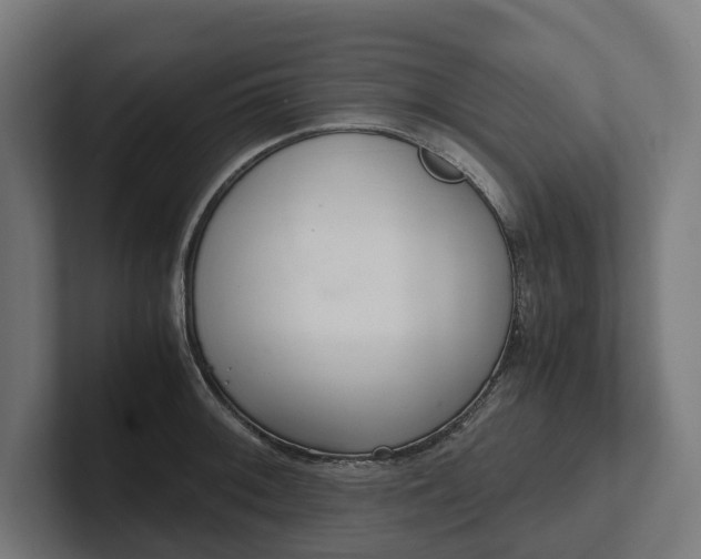 X0000102301092200808011357