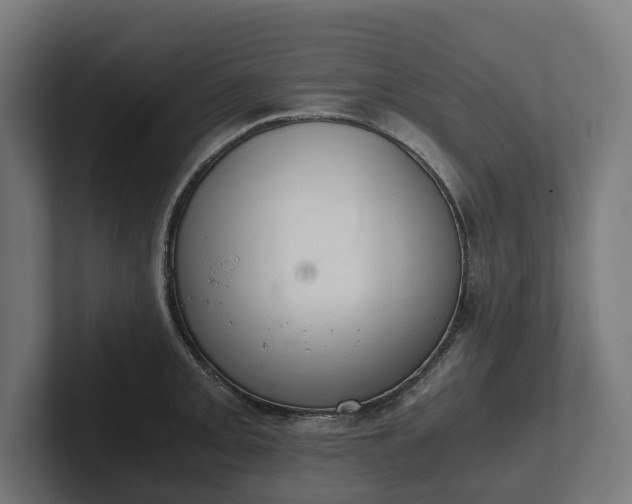 X0000102301093200808011357