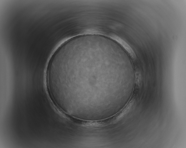 X0000102301094200808011357